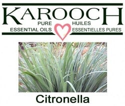 Citronella Essential Oil (10mL)