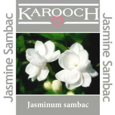 Karooch Jasmine Sambac Absolute (5mL)