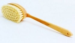Skin Brush - Natural Tampico Bristles (16 Inches)