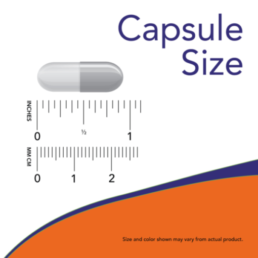 NOW Super Enzymes Caps Size