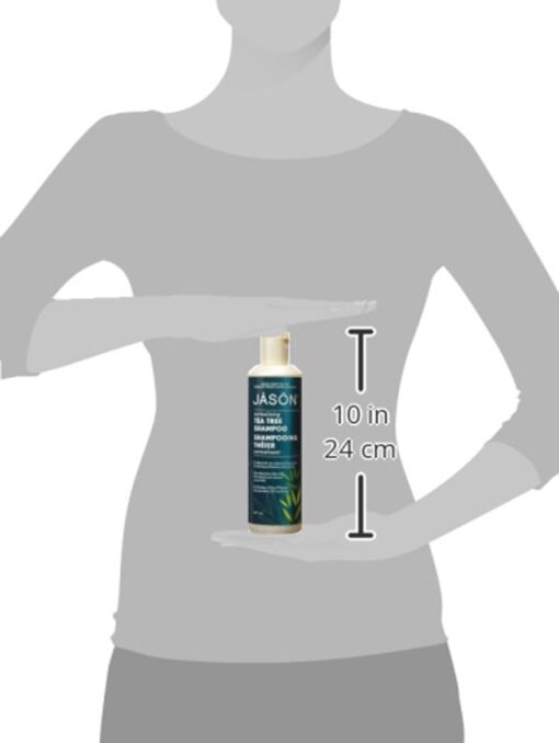 Jason Tea Tree Shampoo size