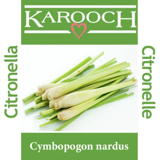 Karooch Citronella Essential Oil 10mL label