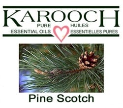 Karooch Pine Scotch