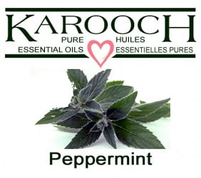 Peppermint oil 10 ml By Karooch