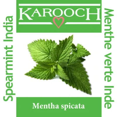 Karooch Spearmint Essential Oil 10mL label