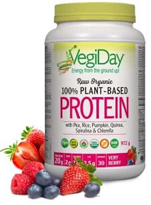VegiDay Raw Organic Plant Based Protein- Berry 972g